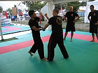 mich380 (3).JPG